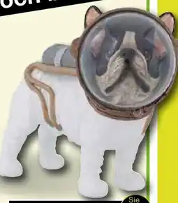 Möbel Inhofer Kare-Design Deko-Objekt Space Dog Angebot