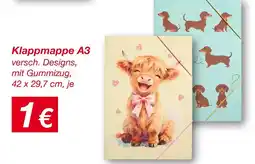 KiK Klappmappe Angebot