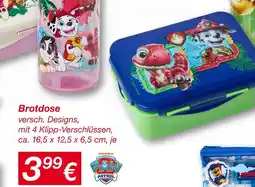 KiK Brotdose Angebot