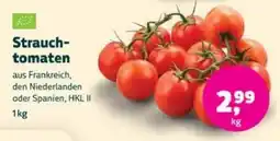Denns BioMarkt Strauch-tomaten Angebot