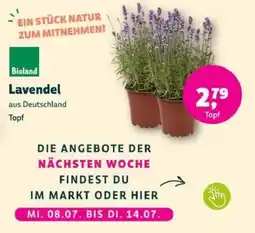 Denns BioMarkt Bioland Lavendel Angebot