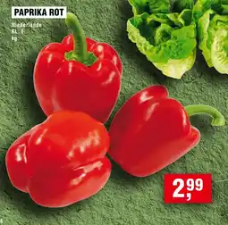 Handelshof PAPRIKA ROT Angebot