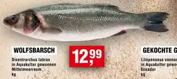 Handelshof WOLFSBARSCH Angebot