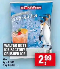 Handelshof WALTER GOTT ICE FACTORY CRUSHED ICE Angebot