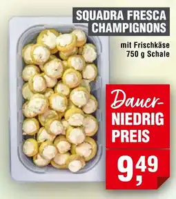Handelshof SQUADRA FRESCA CHAMPIGNONS Angebot