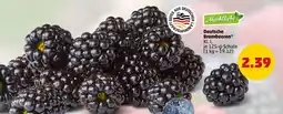 PENNY Marktliebe Deutsche Brombeeren Angebot