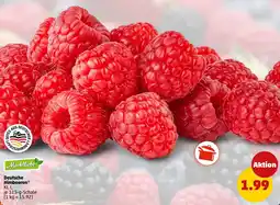 PENNY Deutsche Himbeeren Angebot