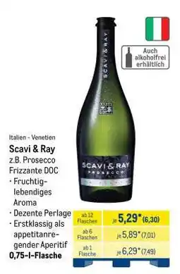 METRO Scavi & Ray Angebot