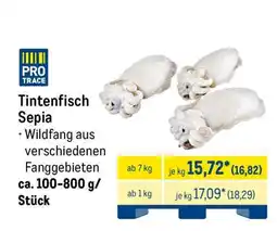 METRO Tintenfisch Sepia Angebot