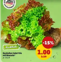 PENNY Deutsches Salat-Trio mit Wurzeln Angebot