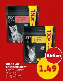 PENNY LUCKY CAT Knusperkissen Angebot