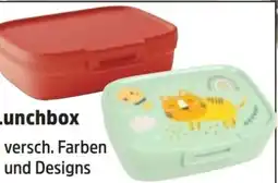 Thomas Philipps Lunchbox Angebot