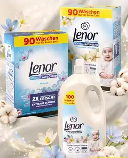 Thomas Philipps Lenor Waschmittel Pulver Angebot