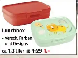 Thomas Philipps Lunchbox Angebot