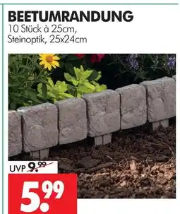 Wreesmann Beetumrandung Angebot