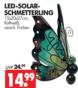 Wreesmann Led-solar-schmetterling Angebot
