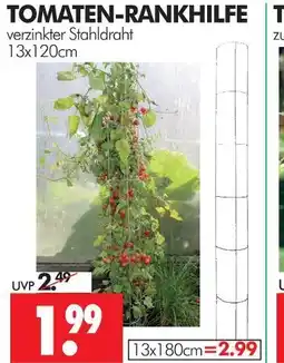 Wreesmann Tomaten-rankhilfe Angebot