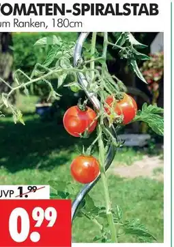 Wreesmann Tomaten-spiralstab Angebot