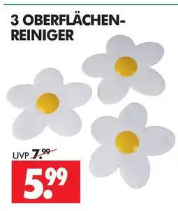 Wreesmann Oberflächen-reiniger Angebot