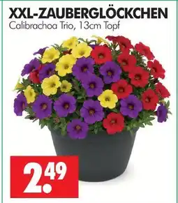 Wreesmann Xxl-zauberglöckchen Angebot
