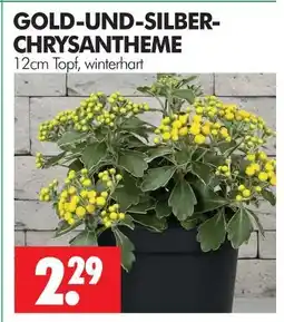 Wreesmann Gold-und-silber-chrysantheme Angebot