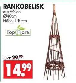 Wreesmann Top flora rankobelisk Angebot