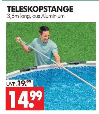 Wreesmann Teleskopstange Angebot