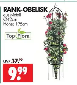 Wreesmann Topflora rank-obelisk Angebot