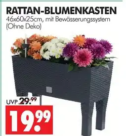 Wreesmann Rattan-blumenkasten Angebot