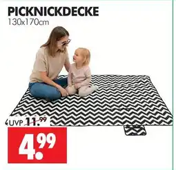 Wreesmann Picknickdecke Angebot