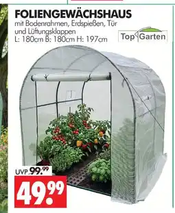 Wreesmann Top garten foliengewächshaus Angebot