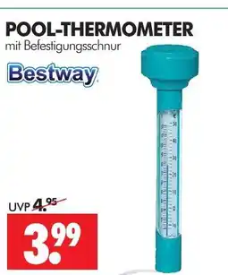 Wreesmann Bestway pool-thermometer Angebot