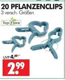Wreesmann Topflora pflanzenclips Angebot
