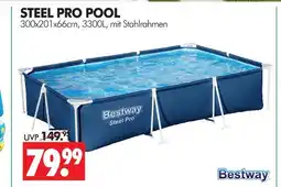 Wreesmann Bestway steel pro pool Angebot