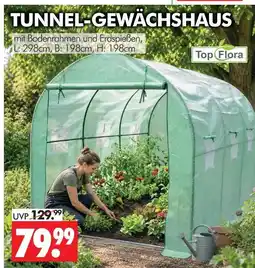 Wreesmann Top flora tunnel-gewächshaus Angebot
