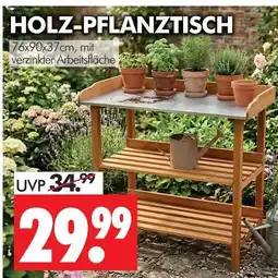 Wreesmann Holz-pflanztisch Angebot
