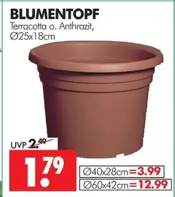 Wreesmann Blumentopf Angebot