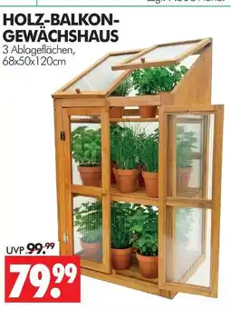 Wreesmann Holz-balkon-gewächshaus Angebot