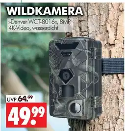 Wreesmann Denver wct-8016 Angebot