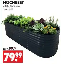 Wreesmann Hochbeet Angebot
