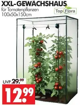 Wreesmann Topflora xxl-gewächshaus Angebot
