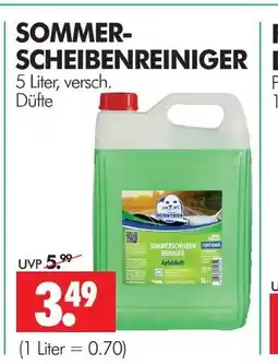 Wreesmann Sommer-scheibenreiniger Angebot