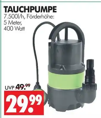 Wreesmann Tauchpumpe Angebot