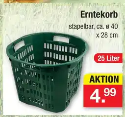 Zimmermann Erntekorb Angebot