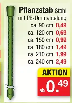 Zimmermann Pflanzstab ca. 90 cm Angebot