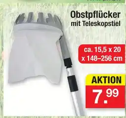 Zimmermann Obstpflücker Angebot