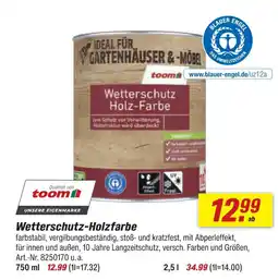 toom Baumarkt Toom wetterschutz-holzfarbe Angebot