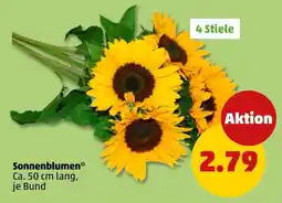PENNY Sonnenblumen Angebot