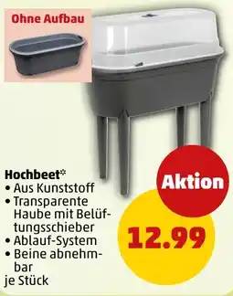 PENNY Hochbeet Angebot