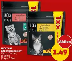PENNY LUCKY CAT XXL Knusperkissen Angebot